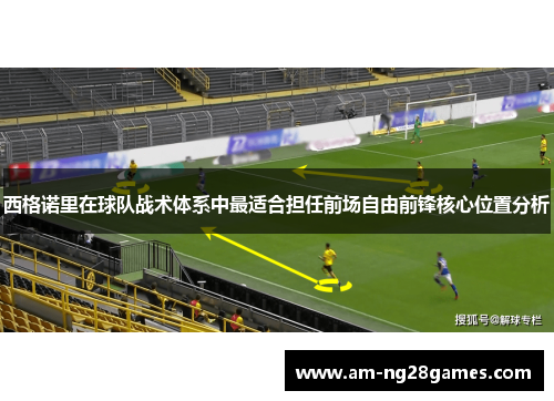 西格诺里在球队战术体系中最适合担任前场自由前锋核心位置分析 西格诺里在球队战术体系中最适合担任前场自由前锋核心位置分析