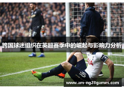 跨国球迷组织在英超赛季中的崛起与影响力分析