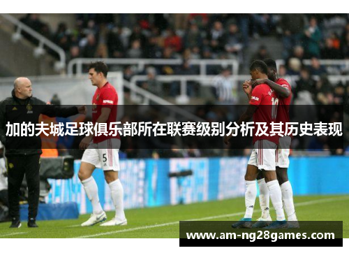 加的夫城足球俱乐部所在联赛级别分析及其历史表现