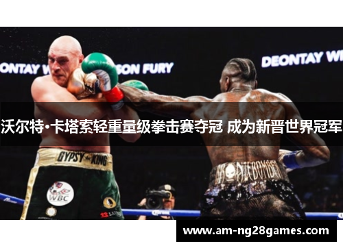 沃尔特·卡塔索轻重量级拳击赛夺冠 成为新晋世界冠军