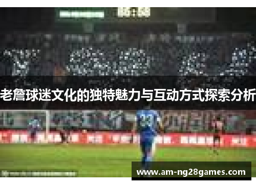 老詹球迷文化的独特魅力与互动方式探索分析