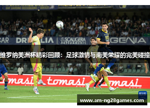 维罗纳美洲杯精彩回顾：足球激情与南美荣耀的完美碰撞