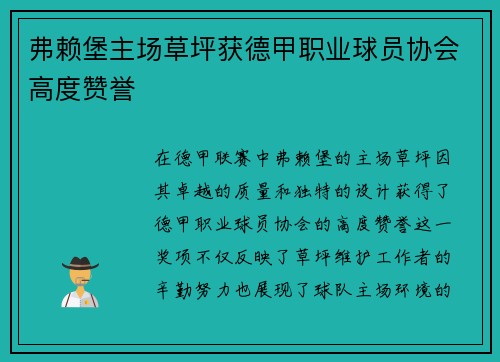 弗赖堡主场草坪获德甲职业球员协会高度赞誉 弗赖堡主场草坪获德甲职业球员协会高度赞誉